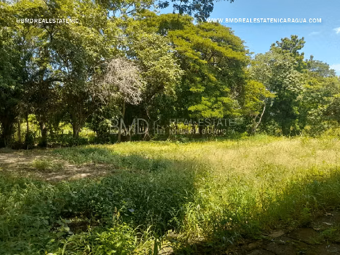 Oportunidad de comprar Bodega y Terreno en Carretera Norte 5283 - Imagen 12