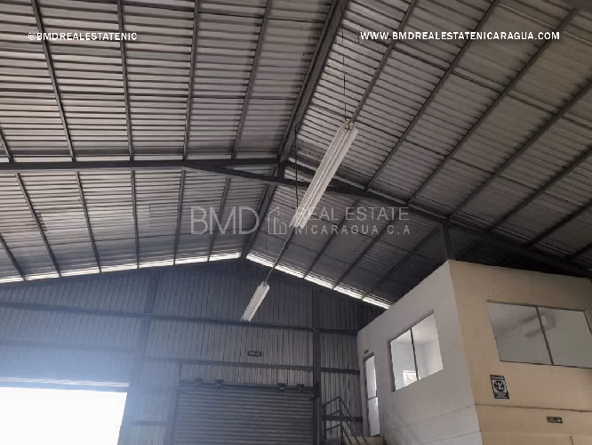 Oportunidad de comprar Bodega y Terreno en Carretera Norte 5283 - Imagen 5