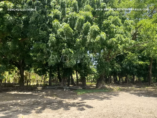 Oportunidad de comprar Bodega y Terreno en Carretera Norte 5283 - Imagen 11
