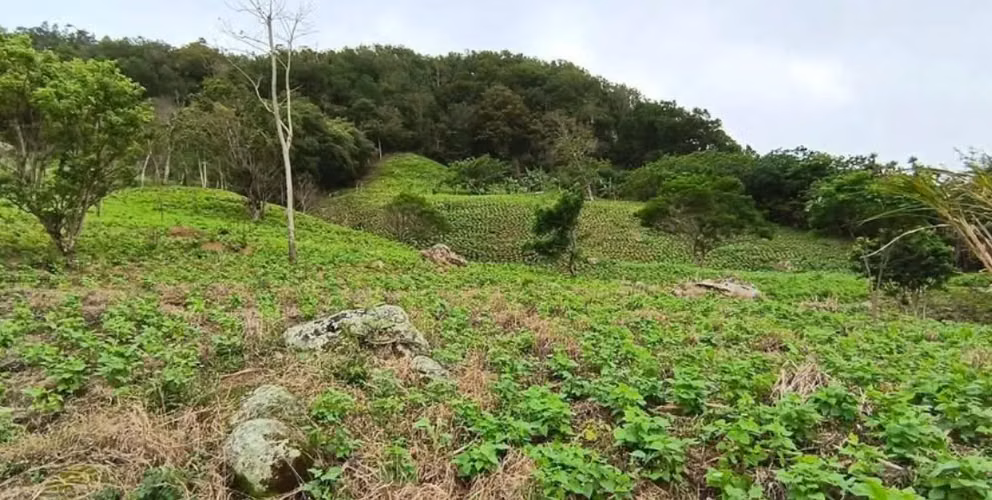 ¡FINCA EN VENTA EN ESTELÍ – ZONA DE LIMÓN!