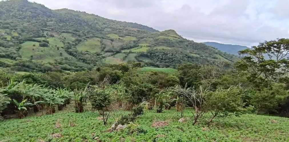 ¡FINCA EN VENTA EN ESTELÍ – ZONA DE LIMÓN! - Imagen 2