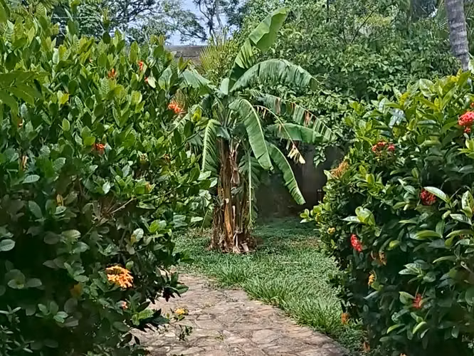 SE VENDE PROPIEDAD DE CUATRO CASAS PARA INVERSION - DIRIAMBA SB - Imagen 19