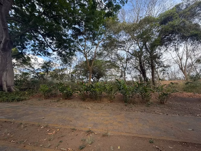 Terreno en Venta en Condominio Los Ángeles – Villa Fontana Sur, Managua - Imagen 4