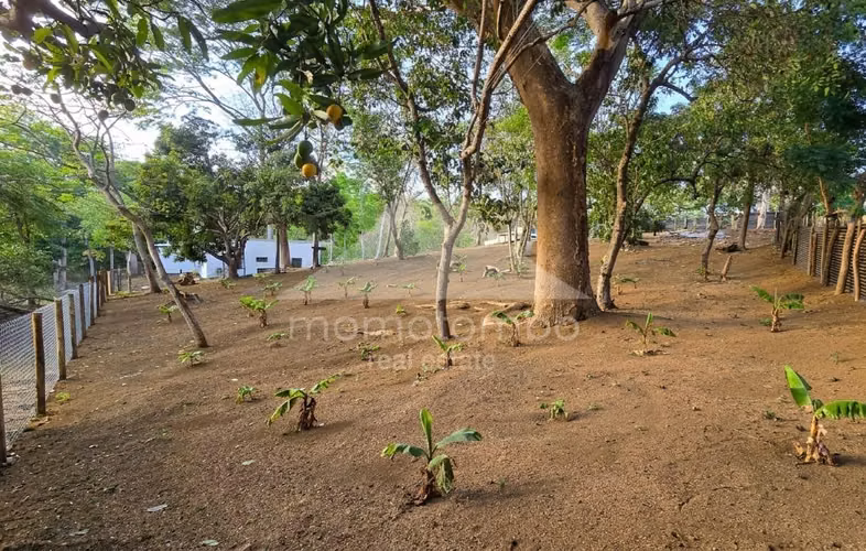 Terreno en Venta Santo Domingo, Managua - Imagen 5