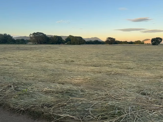 Venta de Terreno en Carretera Nueva a Leon  - Imagen 18