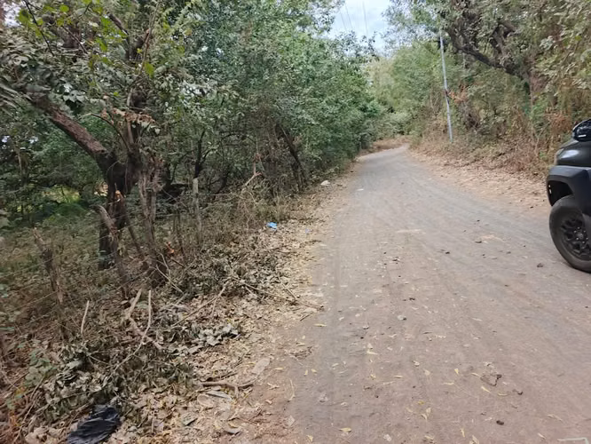 Se venden 2 manzanas y media de tierras en chichigalpa - sector san Cayetano, a 100 metros de la carretera panamericana. - Imagen 3