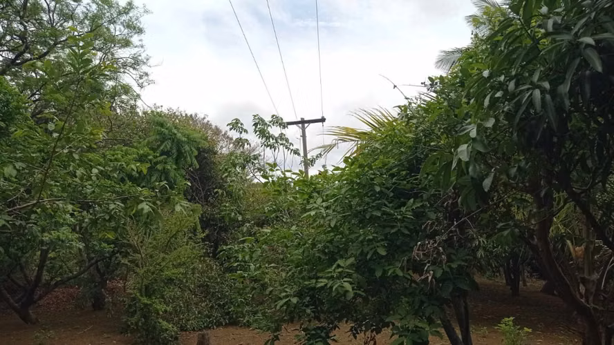 FH | Terreno en Venta | 1 Manzana  - Imagen 2