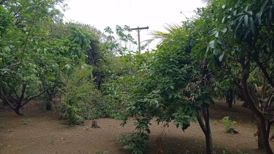 FH | Terreno en Venta | 1 Manzana  - Imagen 4