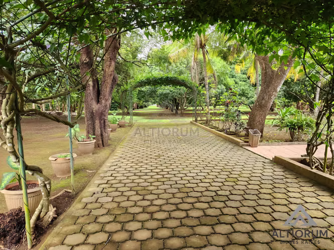 Land for Sale in Esquipulas Managua