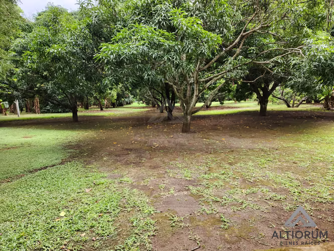 Terreno en Venta en Esquipulas Managua  - Imagen 2