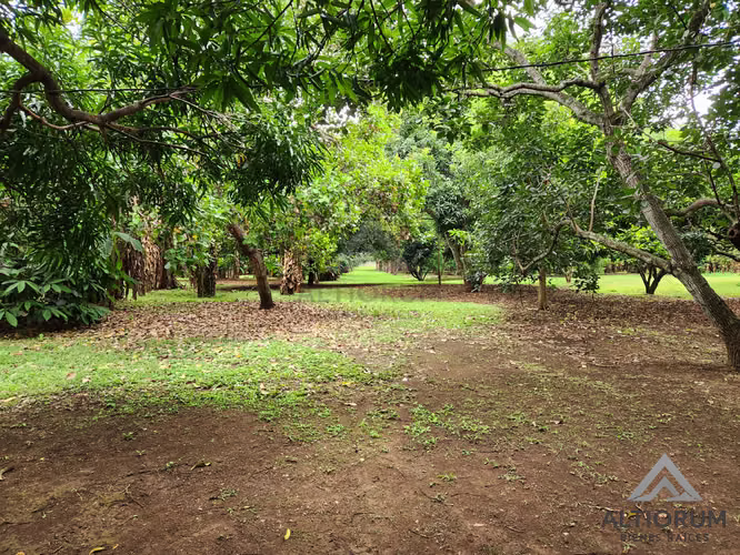Terreno en Venta en Esquipulas Managua  - Imagen 5