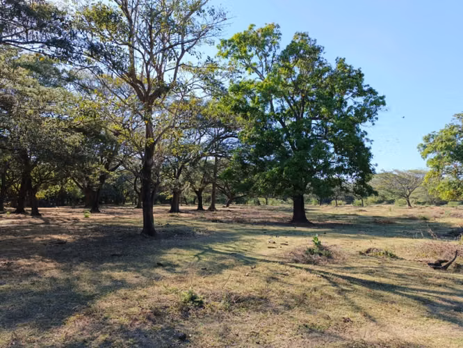 Venta de Finca en Nagarote  - Imagen 2