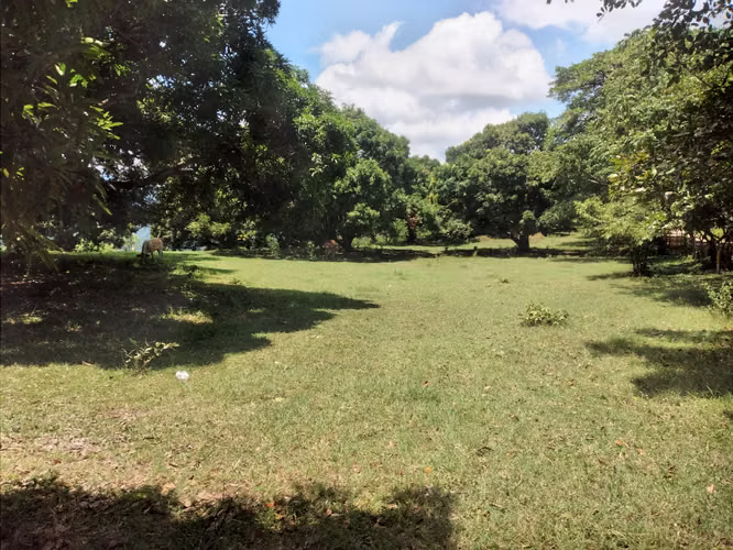 Lot at Apoyo rim with stunning view - Imagen 4