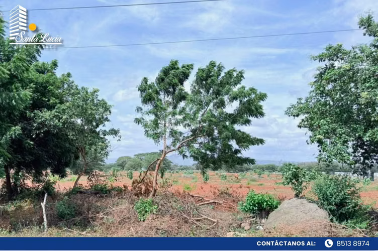 Terreno en Venta en Sabana Grande para inversión – LL  - Imagen 9