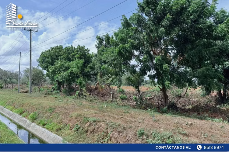 Terreno en Venta en Sabana Grande para inversión – LL  - Imagen 10