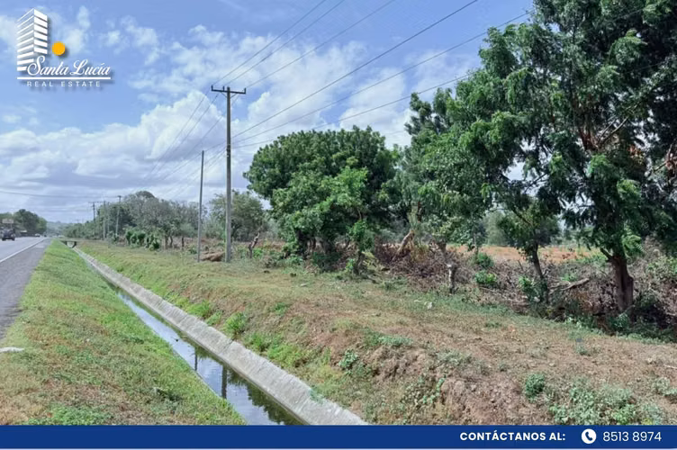 Terreno en Venta en Sabana Grande para inversión – LL  - Imagen 4