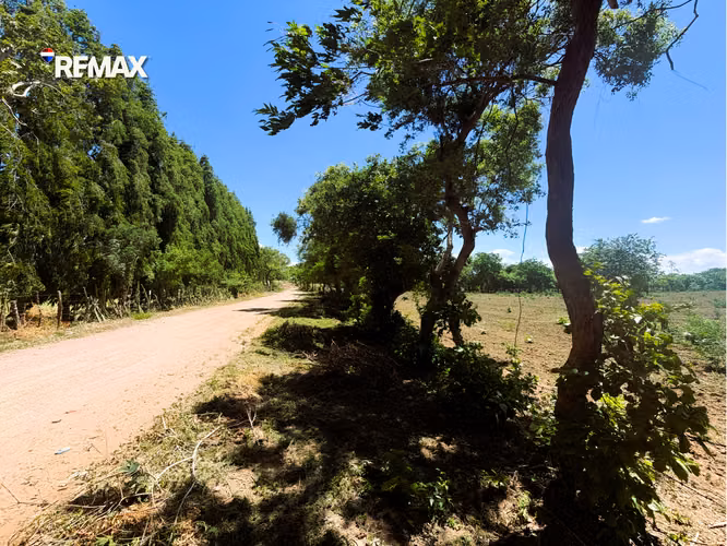 Finca Agrícola y Ganadera en Nagarote - Imagen 3