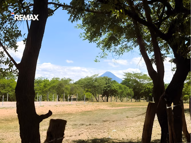 Agricultural and Livestock Finca in Nagarote