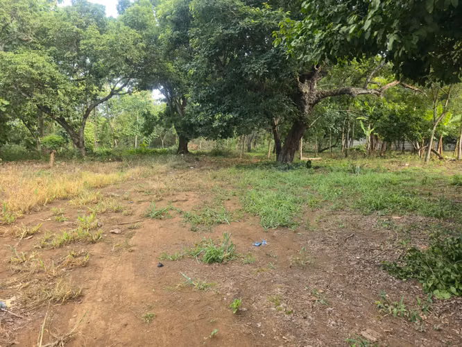 Se vende espectacular propiedad de 5 manzanas en Ticuantepe sobre calle Principal. CV - Imagen 4