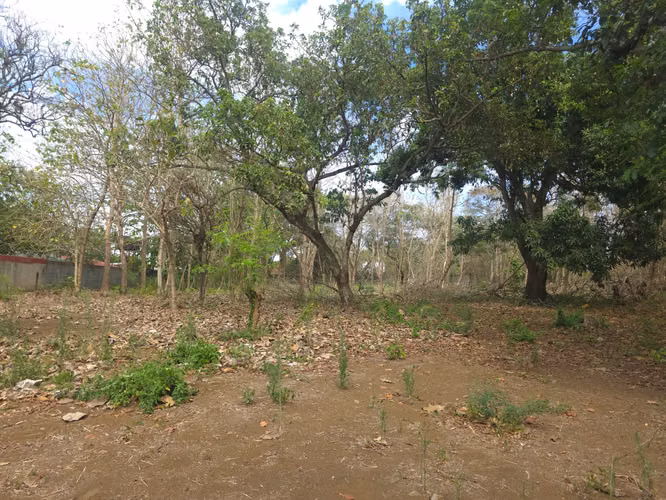 Se vende espectacular propiedad de 5 manzanas en Ticuantepe sobre calle Principal. CV - Imagen 15