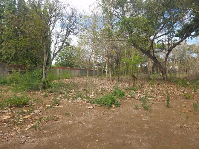 Se vende espectacular propiedad de 5 manzanas en Ticuantepe sobre calle Principal. CV - Imagen 13