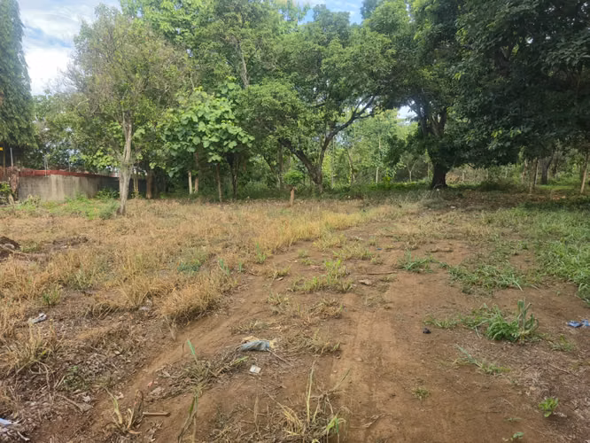 Se vende espectacular propiedad de 5 manzanas en Ticuantepe sobre calle Principal. CV - Imagen 2