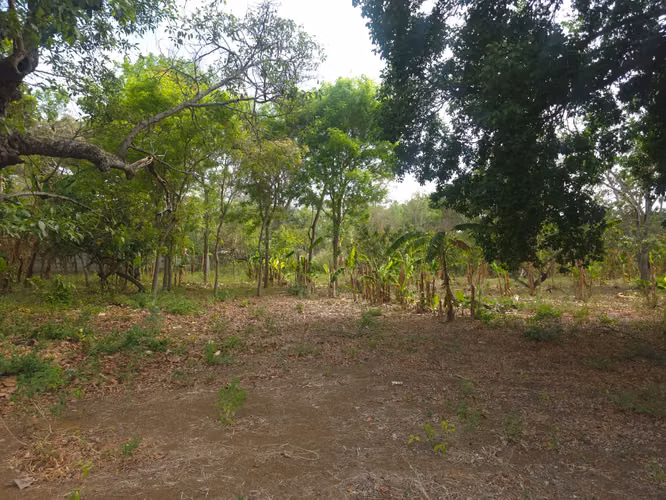 Se vende espectacular propiedad de 5 manzanas en Ticuantepe sobre calle Principal. CV - Imagen 14