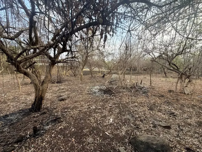 18K Beach Area Deal   Fixer Upper Lot Just Blocks from Poneloya Beach - Imagen 2