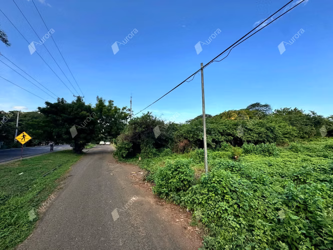 Ideal Lot Near the Beach   Top Schools   Reparto Genesis, Le n - Imagen 4