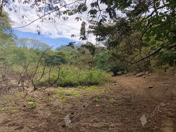 99 acre farm on the road to Poneloya - Imagen 4