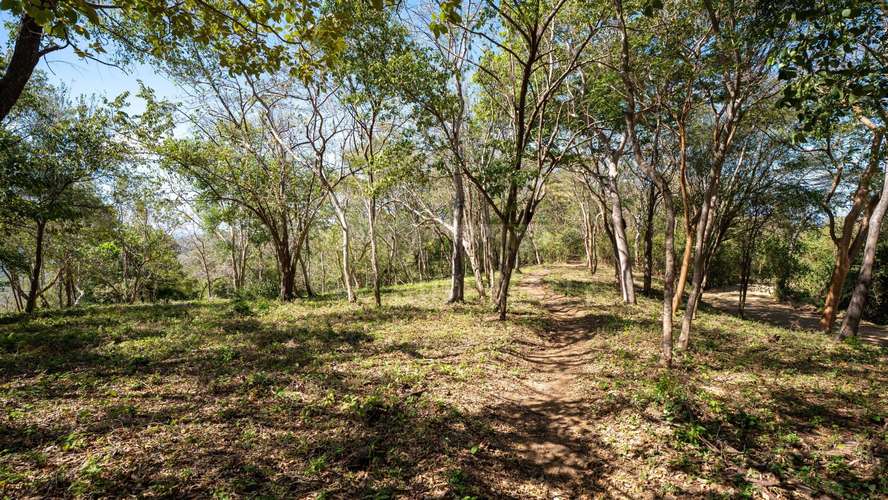 Terreno en venta en Rancho Santana, Tola - Imagen 4