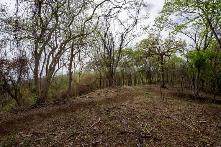 Terreno en venta en Rancho Santana, Tola - Imagen 5