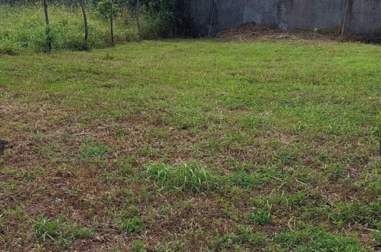 TERRENO EN VENTA – OCOTAL, NUEVA SEGOVIA