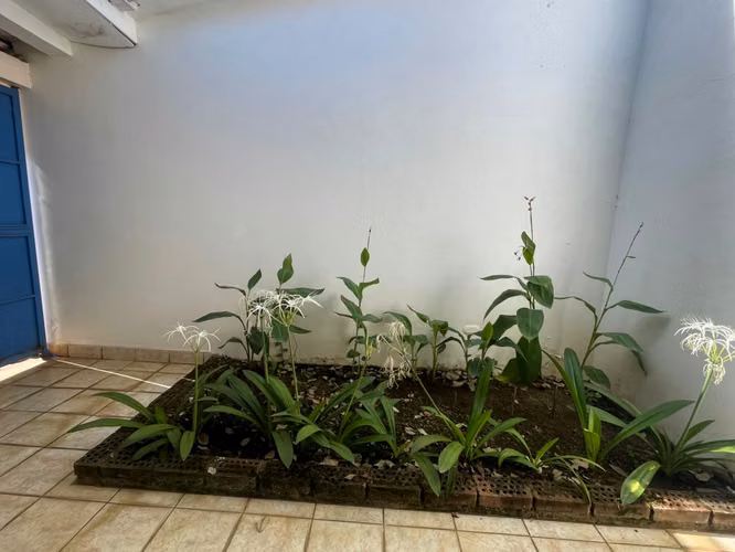  Casa en renta en Mirador de Santo Domingo - Imagen 14