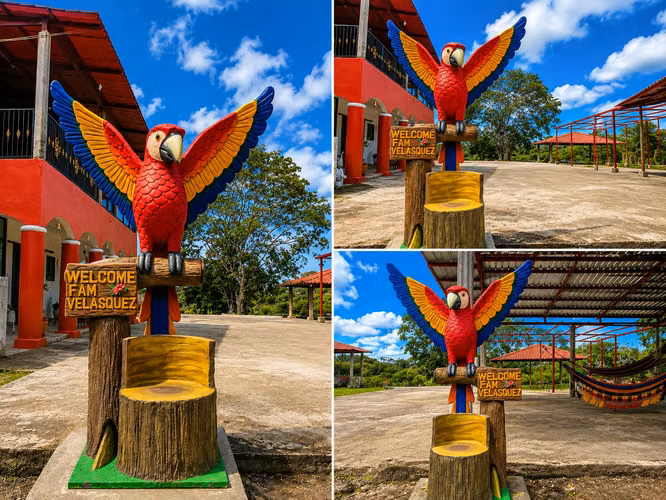 Escultura en concreto , diseños personalizados y de fabrica, pintado a mano con amor y dedicación 