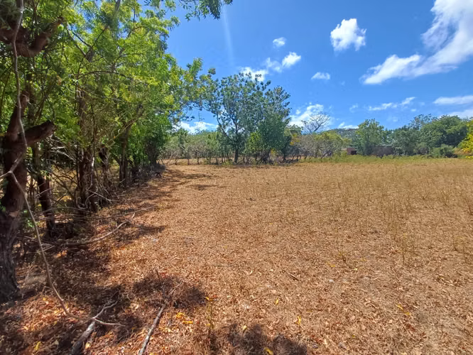 ¡Oportunidad en Ometepe! Amplio terreno con vista al Volcán Concepción  - Imagen 15