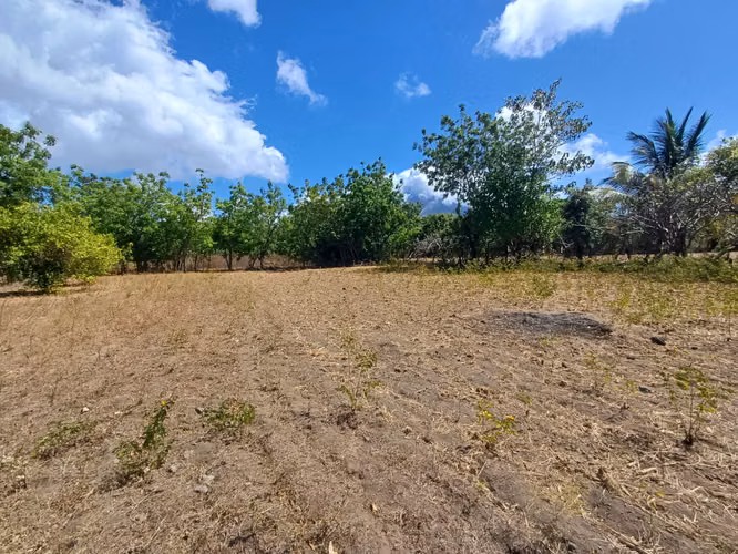 ¡Oportunidad en Ometepe! Amplio terreno con vista al Volcán Concepción  - Imagen 14
