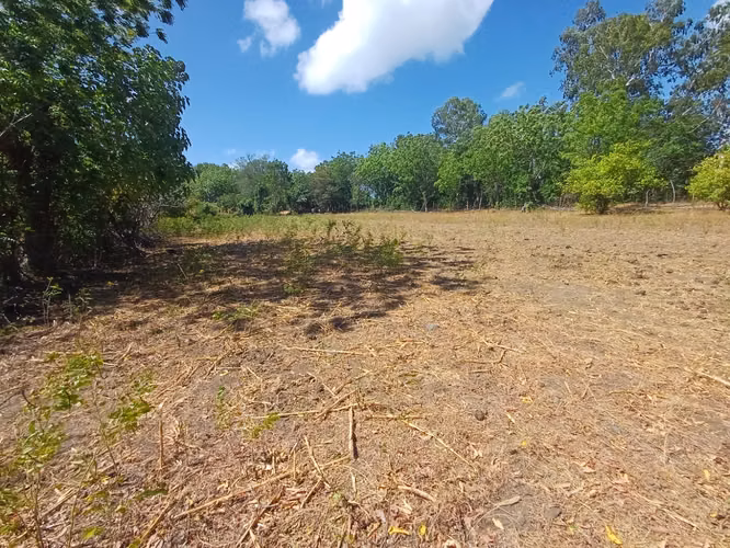 ¡Oportunidad en Ometepe! Amplio terreno con vista al Volcán Concepción  - Imagen 7