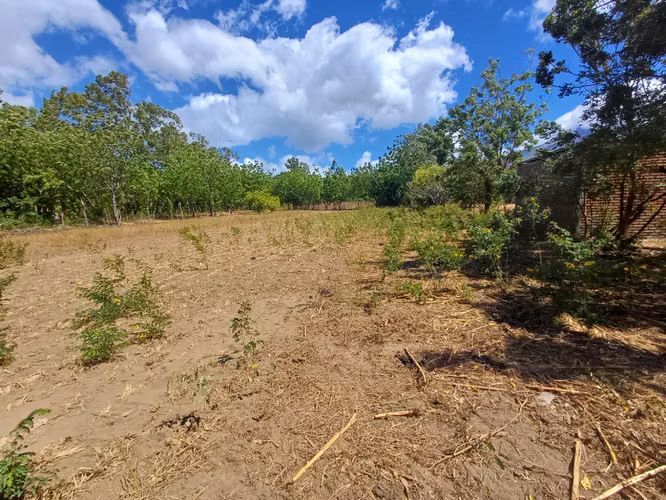 ¡Oportunidad en Ometepe! Amplio terreno con vista al Volcán Concepción  - Imagen 8
