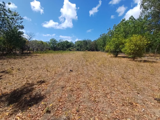 ¡Oportunidad en Ometepe! Amplio terreno con vista al Volcán Concepción  - Imagen 4