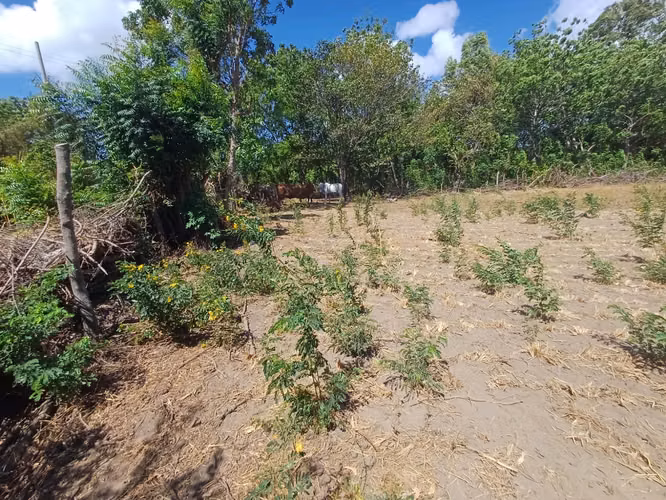 ¡Oportunidad en Ometepe! Amplio terreno con vista al Volcán Concepción  - Imagen 13