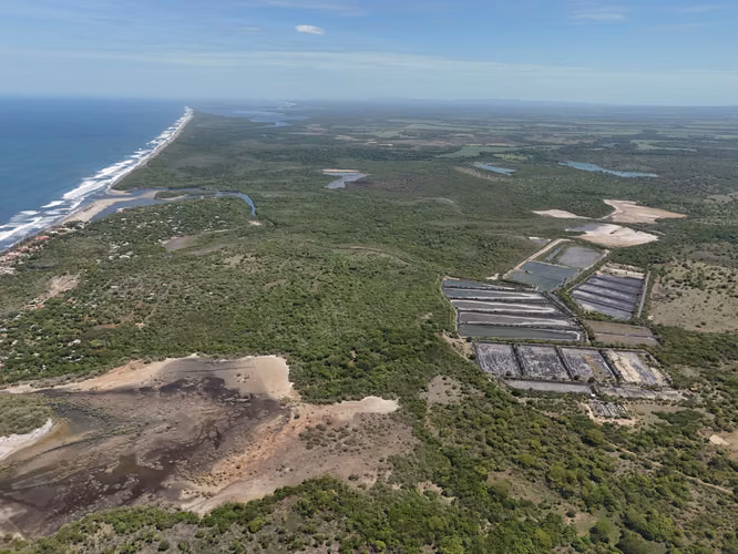 Shrimp aquaculture farm for sale