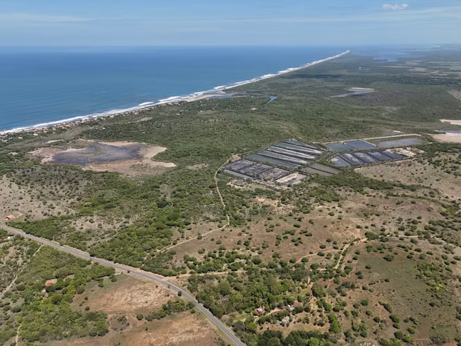 Shrimp aquaculture farm for sale