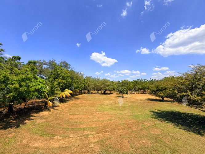 Coastal Farm with Strong Development Potential in Jiquilillo, 6 Manzanas Steps from the Beach
