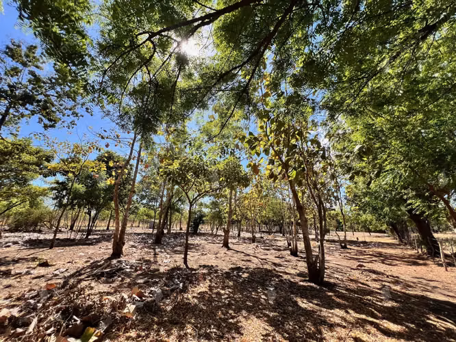 Teak Haven  New Home with Plantation Potential near Leon   Beaches