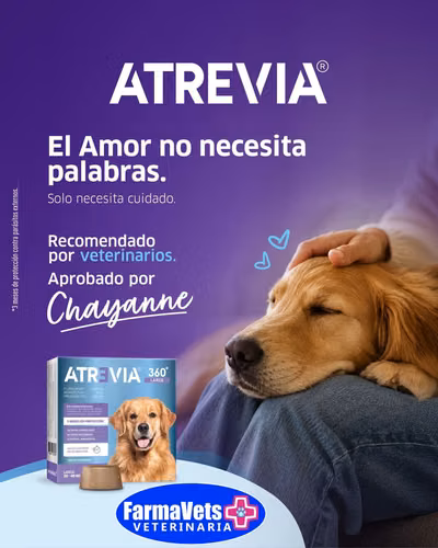 ATREVIA 360 La mejor pastilla contra las garrapatas, pulgas y ácaros  disponibles en Farmavets 