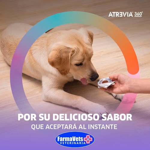 ATREVIA 360 La mejor pastilla contra las garrapatas, pulgas y ácaros  disponibles en Farmavets 