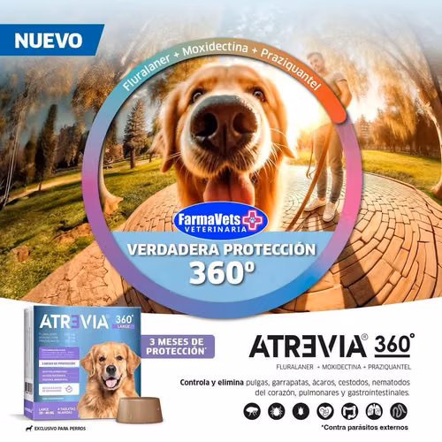 ATREVIA 360 La mejor pastilla contra las garrapatas, pulgas y ácaros  disponibles en Farmavets 