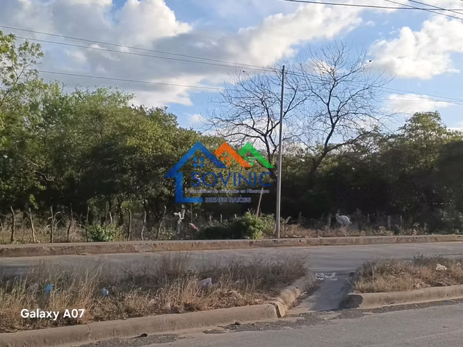 Terreno en venta en Managua, sector del mercado Mayoreo - Imagen 4