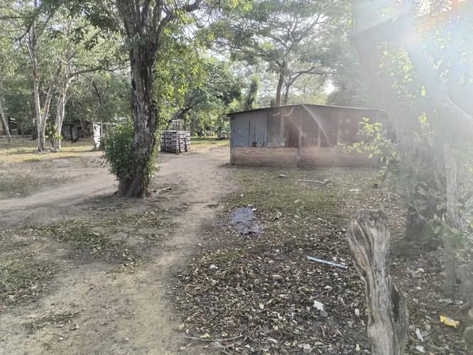 Se venden 4 tareas y medias